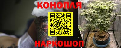 спиды Рязань