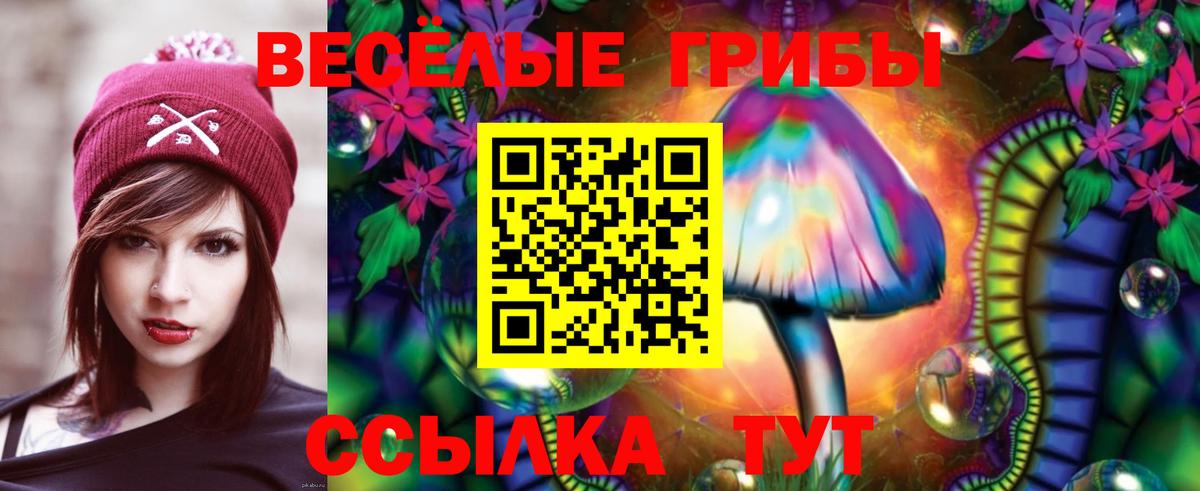 Псилоцибиновые грибы мухоморы Свободный
