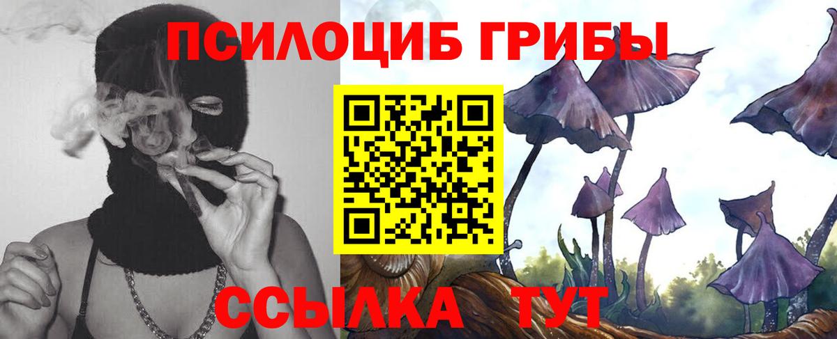 Свободный  Псилоцибиновые грибы Magic Shrooms  Вход с VPN 