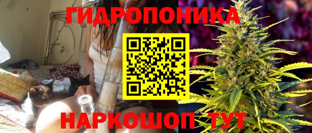 Каннабис конопля  Бошки Шишки MAZAR  Бошки марихуана тримм  МАРИХУАНА ГИДРОПОН  Свободный  Вход с VPN 